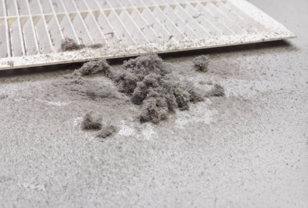 Best HVAC Duct Inspection Services  in King Arthur Park, MT